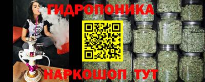 PSILOCYBIN Свободный