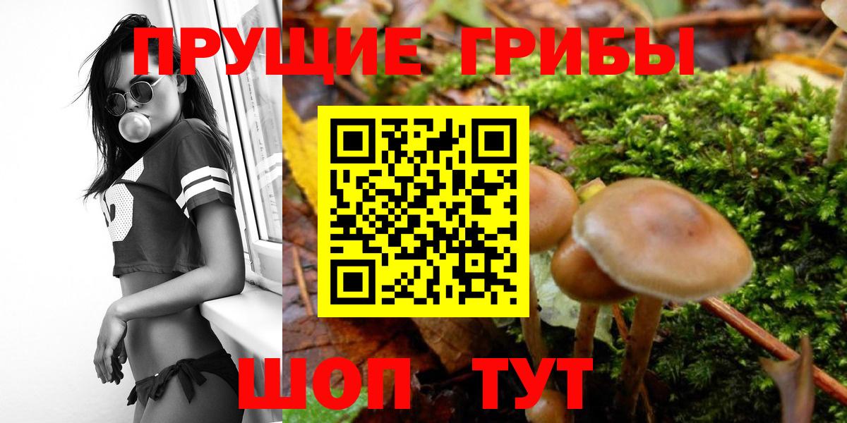 Галлюциногенные грибы MAGIC MUSHROOMS Сергиев Посад